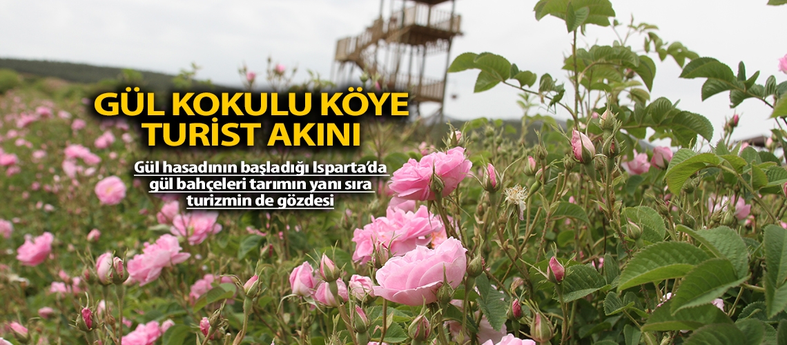 Gül kokulu köye turist akını