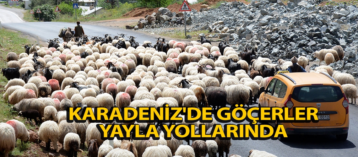 Karadeniz'de göçerler yayla yollarında