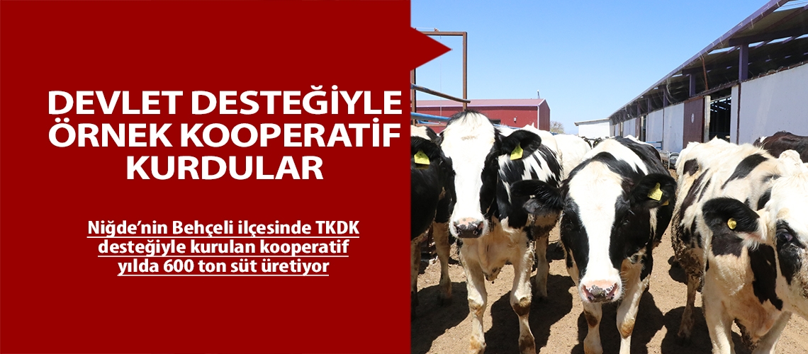 Devlet desteğiyle örnek kooperatif kurdular