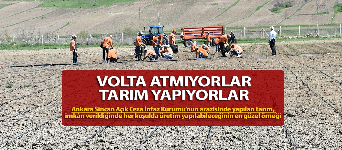 Volta atmıyorlar tarım yapıyorlar