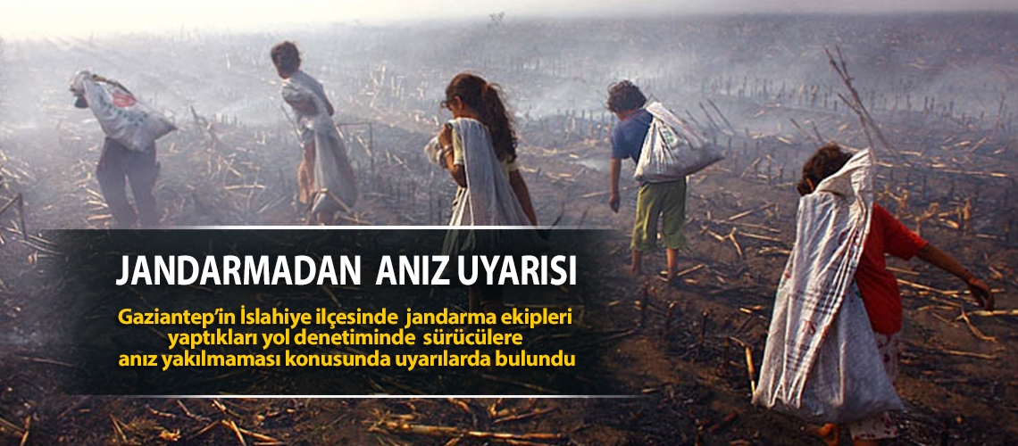 Jandarmadan anız uyarısı