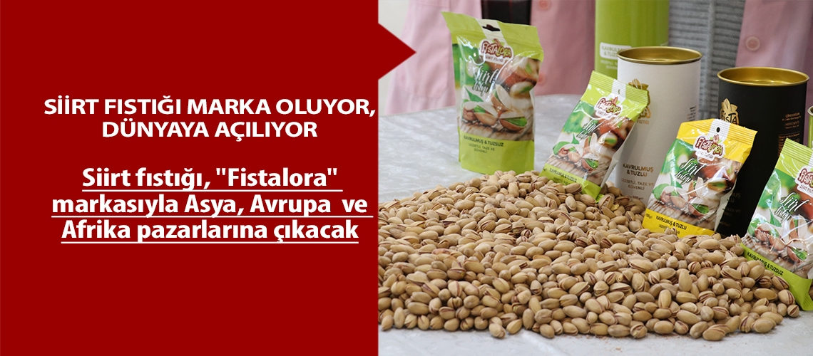 Siirt fıstığı marka oluyor, dünyaya açılıyor