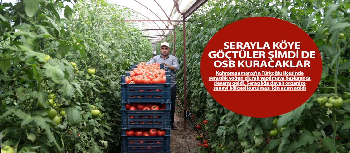Serayla köye göçtüler şimdi de OSB kuracaklar