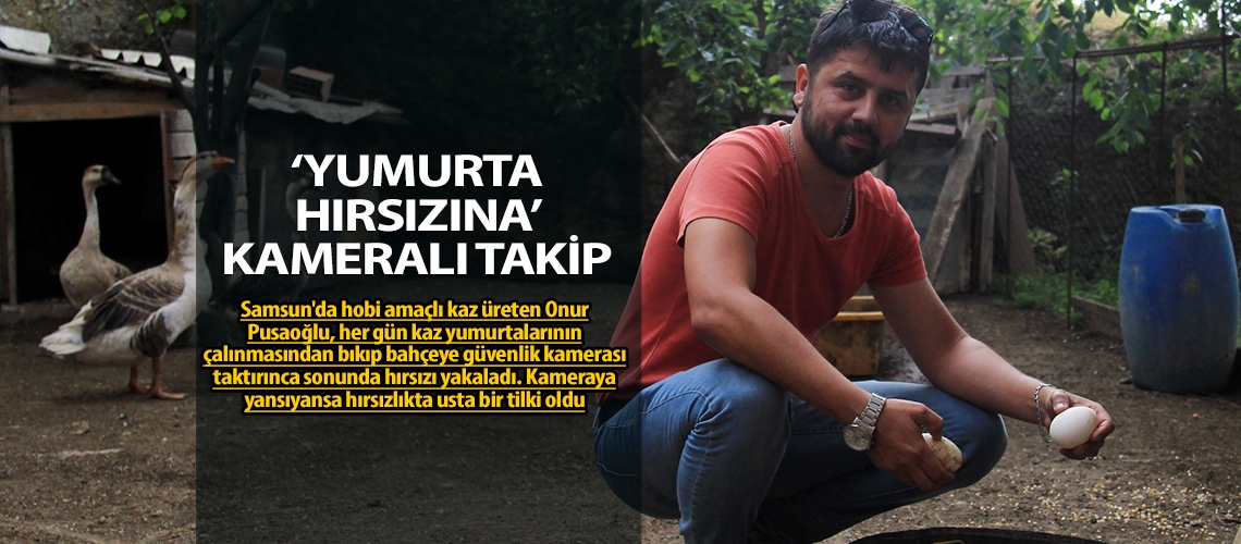 ‘Yumurta hırsızına’ kameralı takip