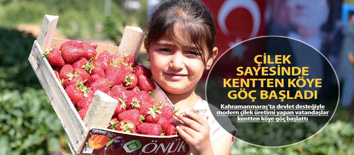 Çilek sayesinde kentten köye göç başladı