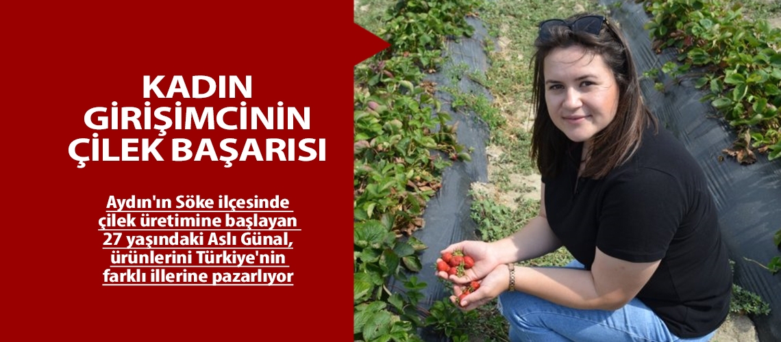 Kadın girişimcinin çilek başarısı