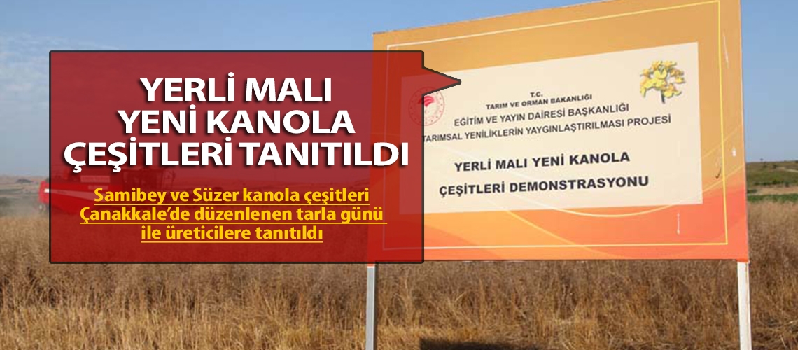 Yerli malı yeni kanola çeşitleri tanıtıldı