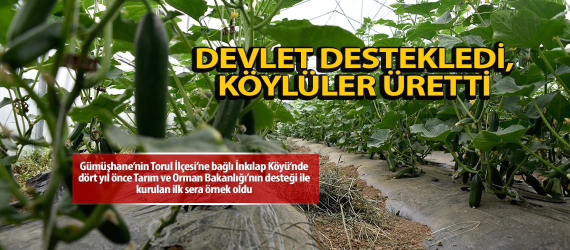 Devlet destekledi, köylüler üretti