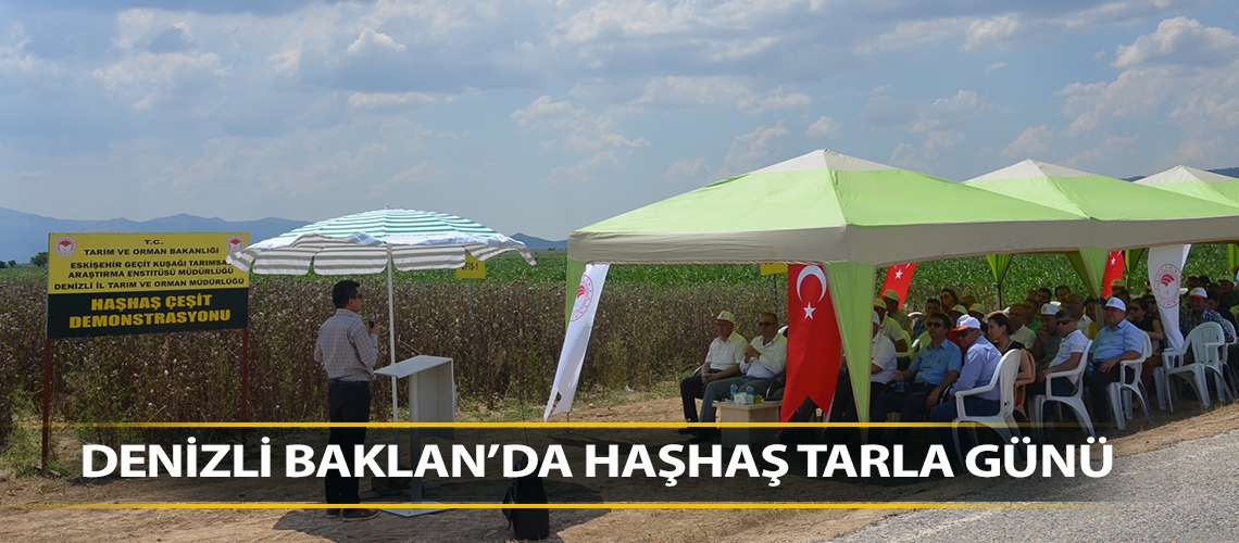 Denizli Baklan’da 'Haşhaş Tarla Günü'