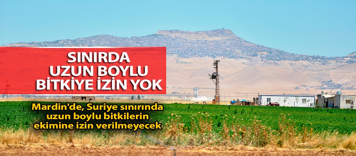 Sınırda uzun boylu bitkiye izin yok