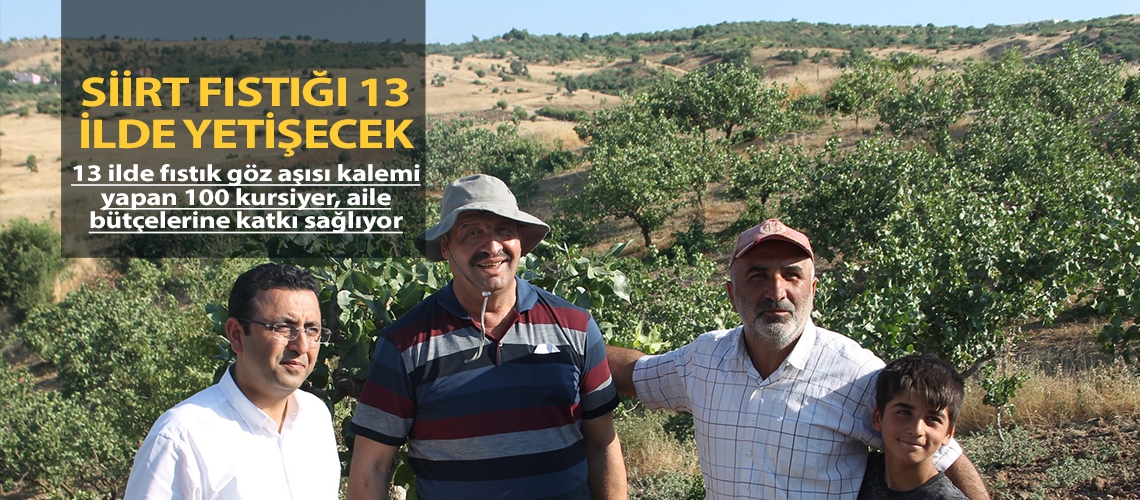 Siirt fıstığı 13 ilde yetişecek