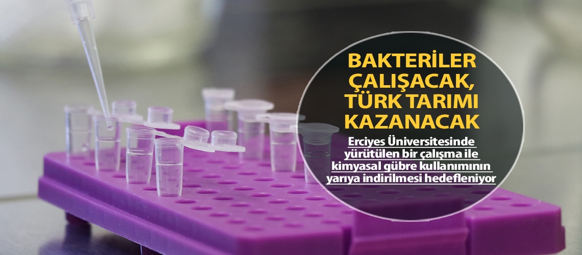 Bakteriler çalışacak, Türk tarımı kazanacak