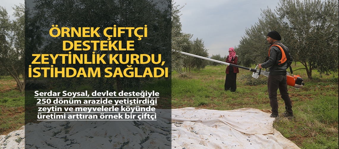 Örnek çiftçi destekle zeytinlik kurdu, istihdam sağladı