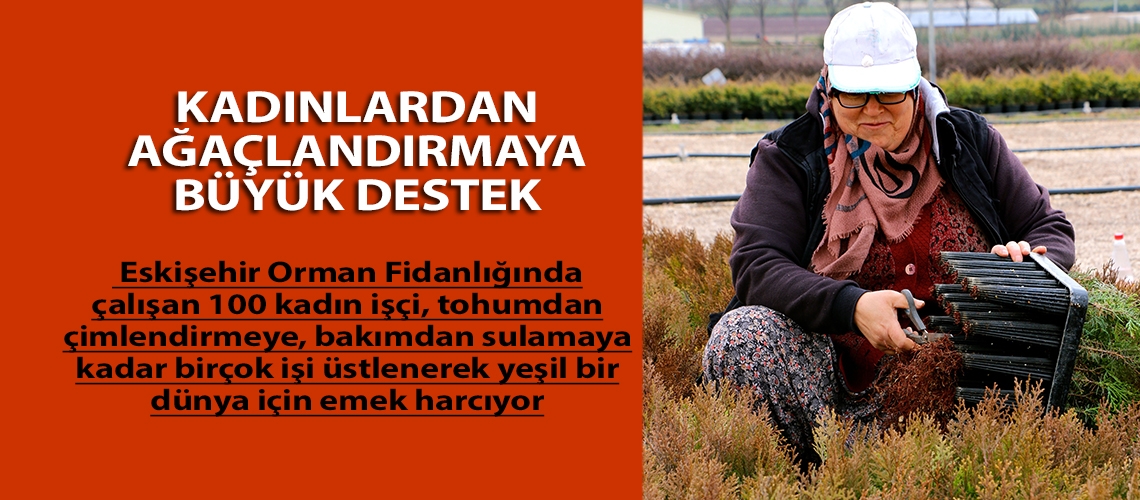 Kadınlardan ağaçlandırmaya büyük destek