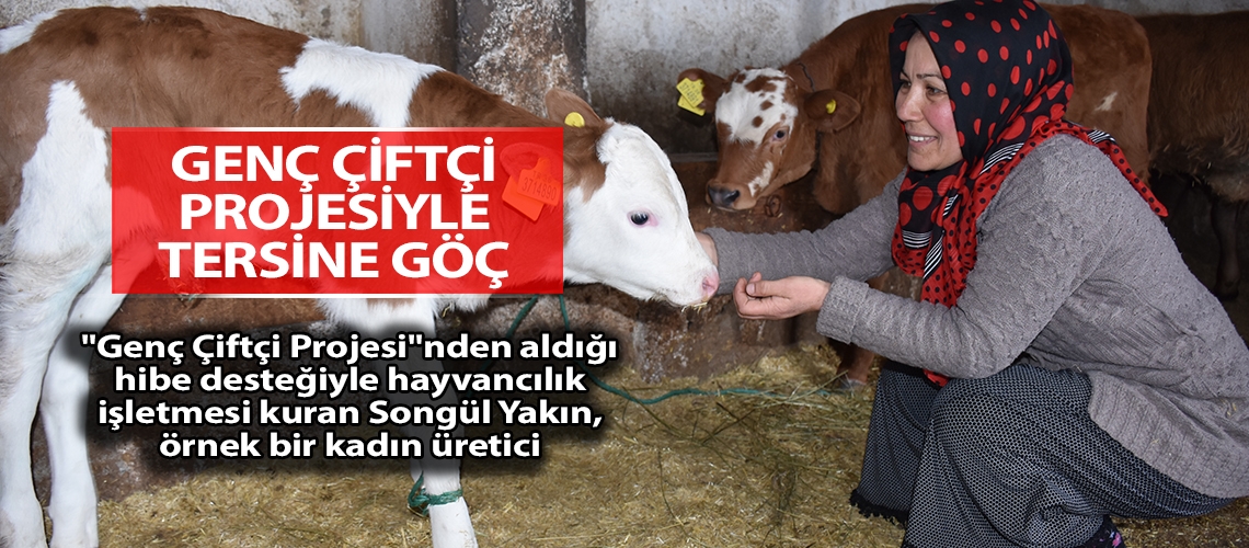 Genç çiftçi projesiyle tersine göç