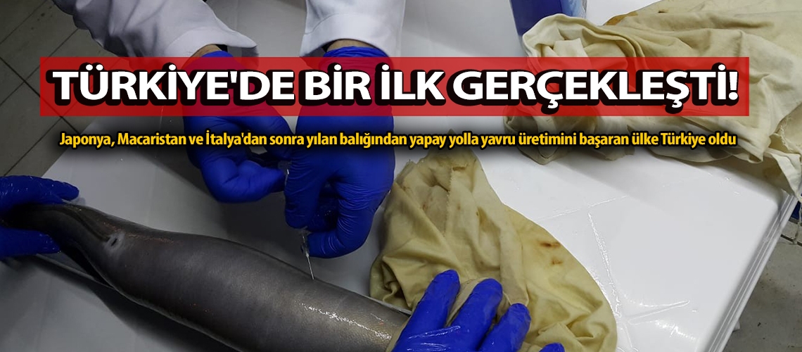 Türkiye'de  bir ilk gerçekleşti!
