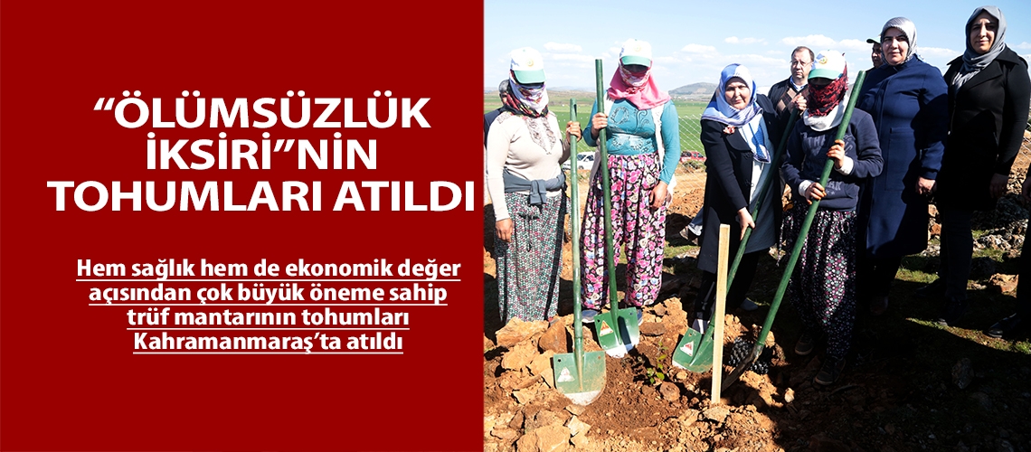 “Ölümsüzlük İksiri”nin tohumları atıldı