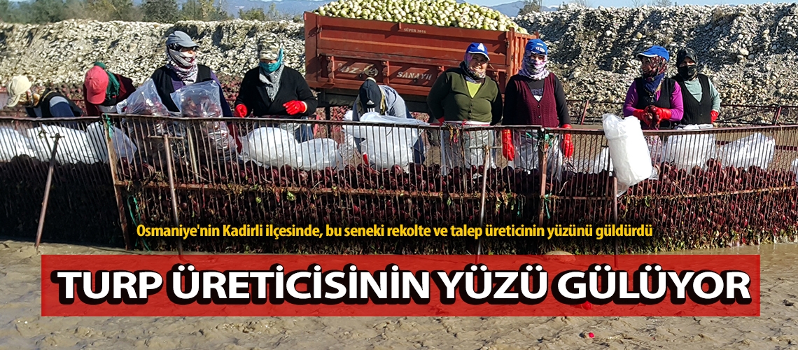Turp üreticisinin yüzü gülüyor