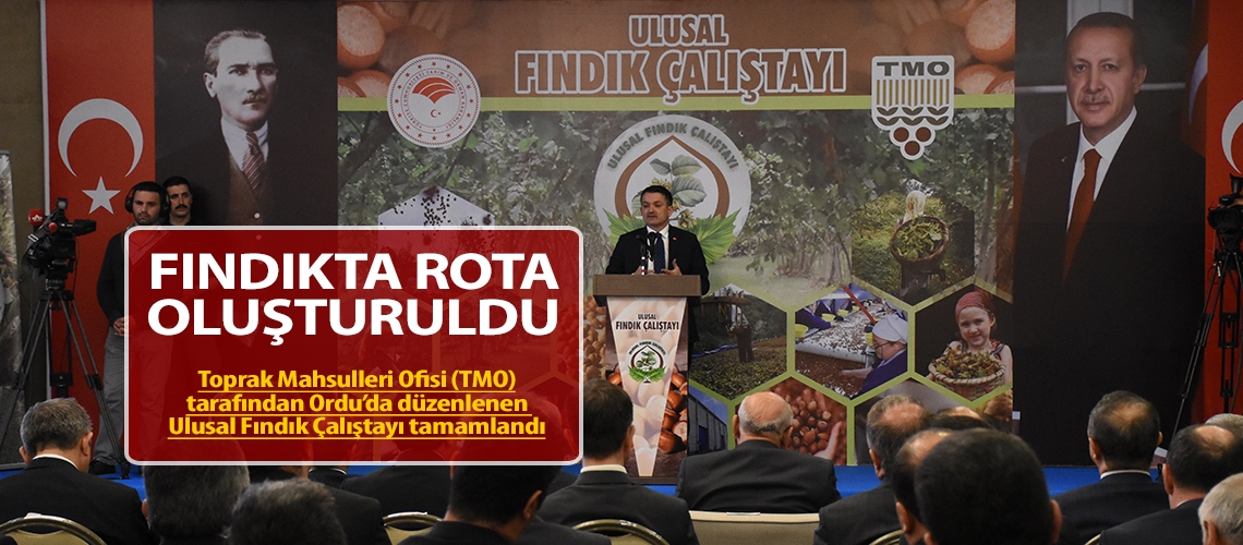 Fındıkta rota oluşturuldu