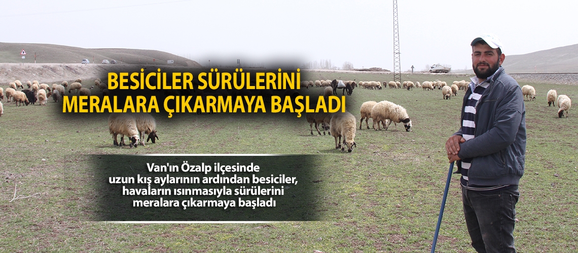 Besiciler sürülerini meralara çıkarmaya başladı
