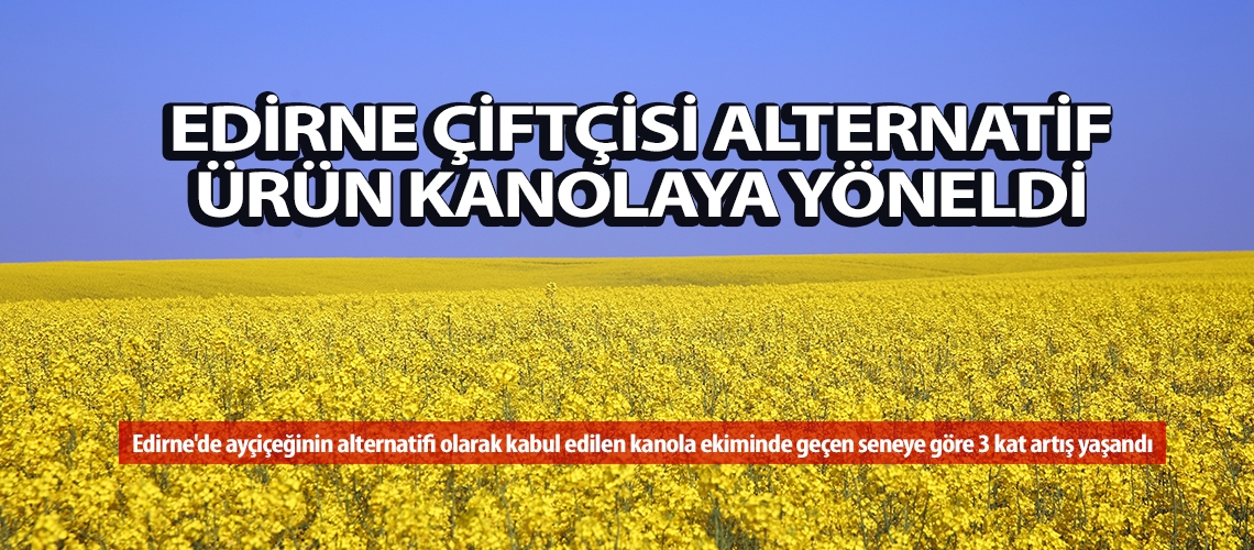 Edirne çiftçisi alternatif ürün kanolaya yöneldi