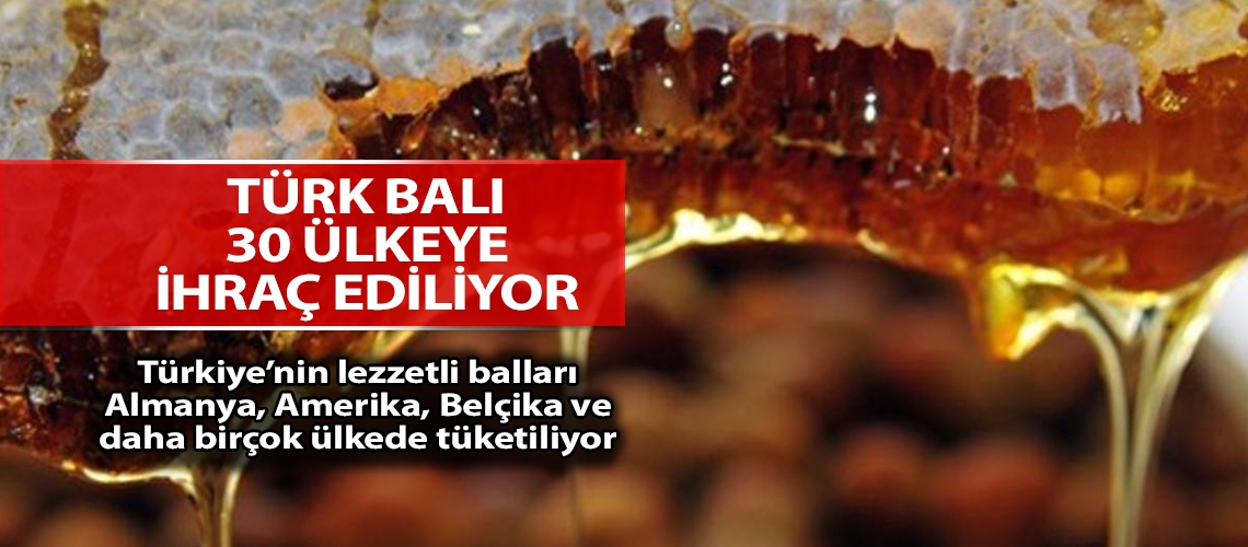 Türk balı 30 ülkeye ihraç ediliyor