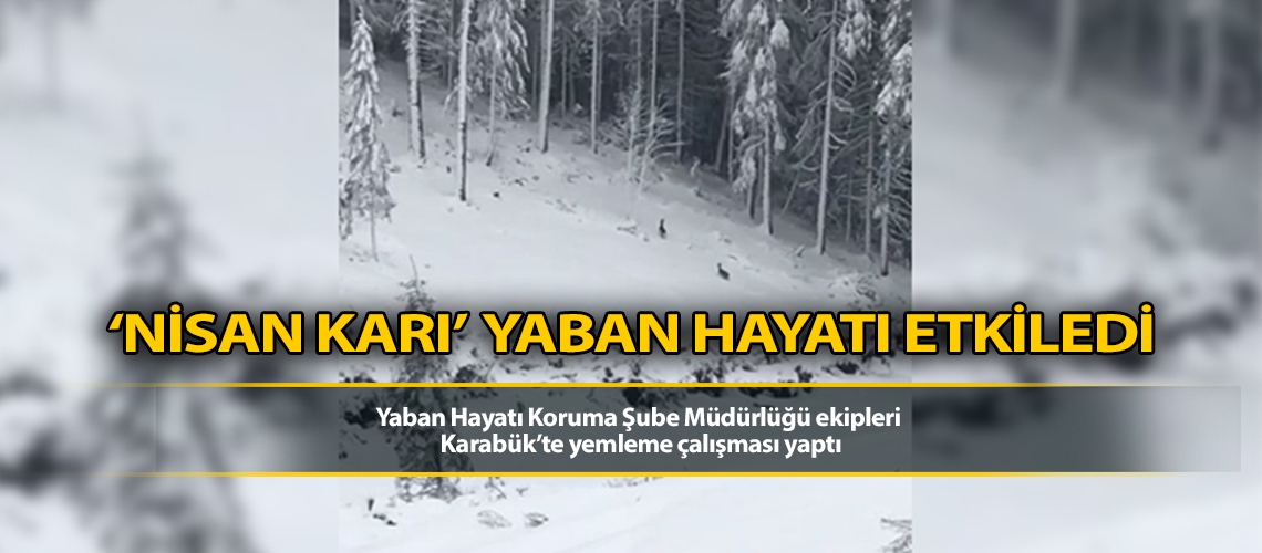 Nisan karı yaban hayatı etkiledi