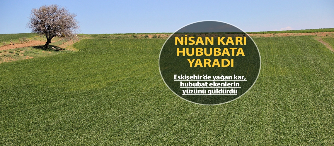 Nisan karı hububata yaradı