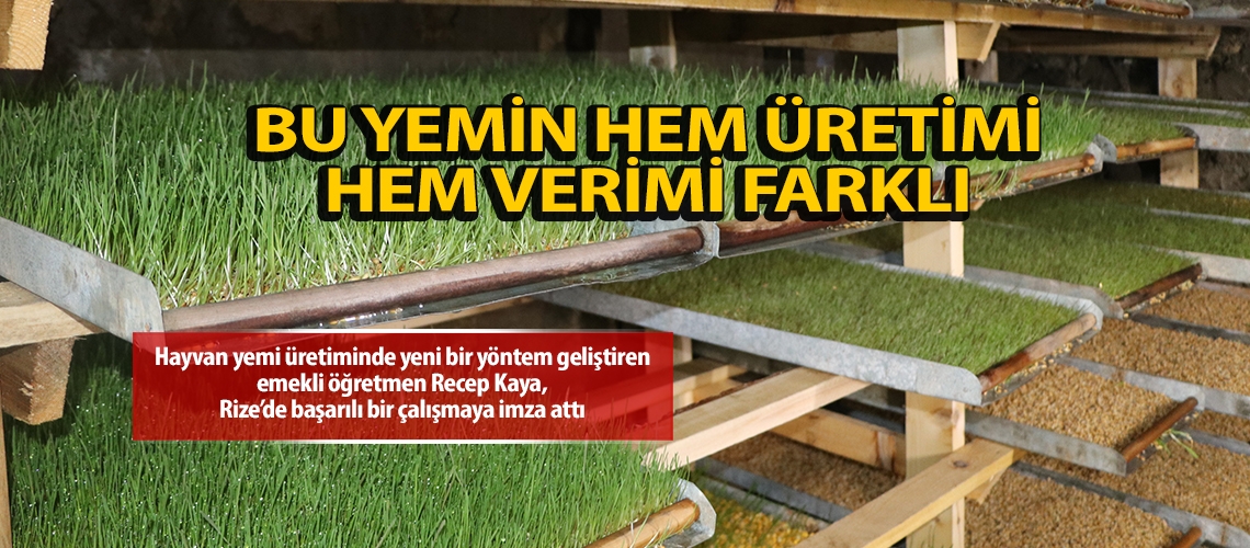 Bu yemin hem üretimi hem verimi farklı