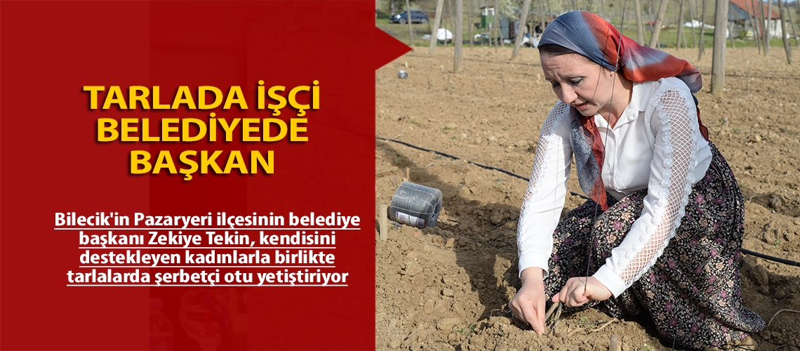 Tarlada işçi belediyede başkan