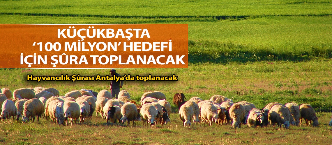 Küçükbaşta ‘100 milyon’ hedefi için şûra  toplanacak