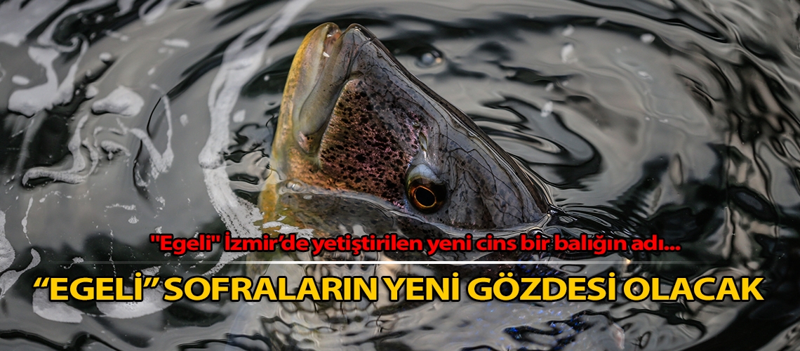 “Egeli” sofraların yeni gözdesi olacak