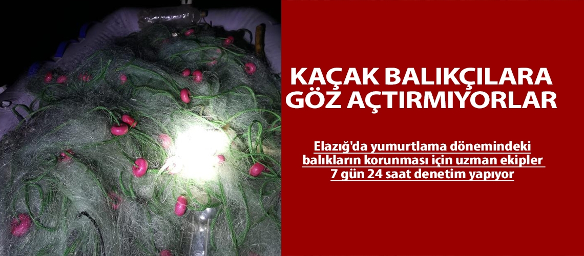 Kaçak balıkçılara göz açtırmıyorlar