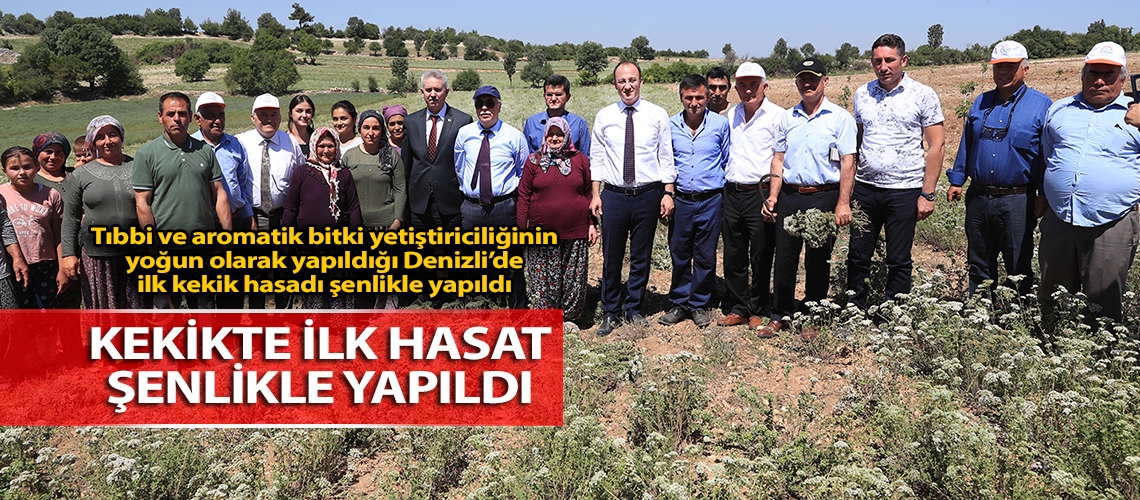 Kekikte ilk hasat şenlikle yapıldı