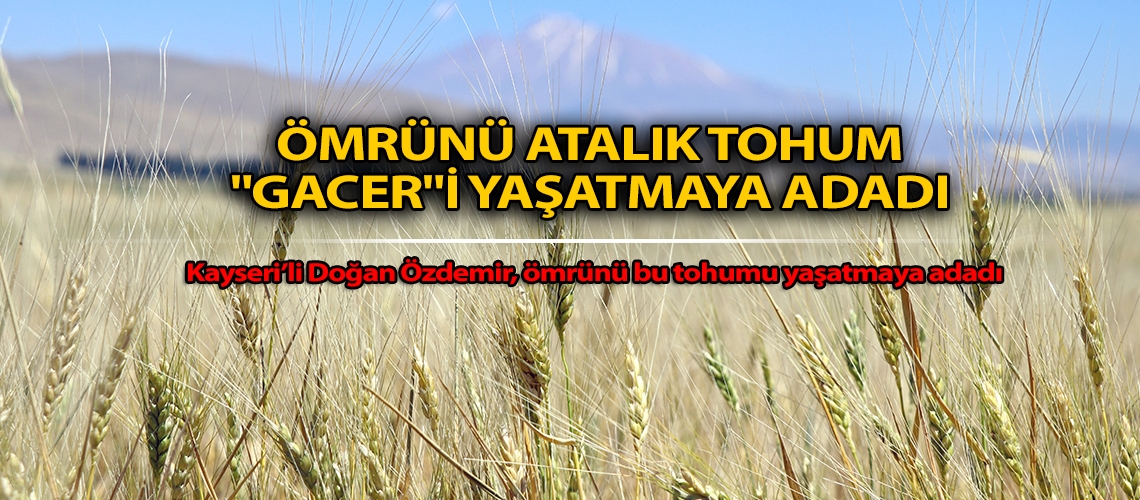 Ömrünü atalık tohum 