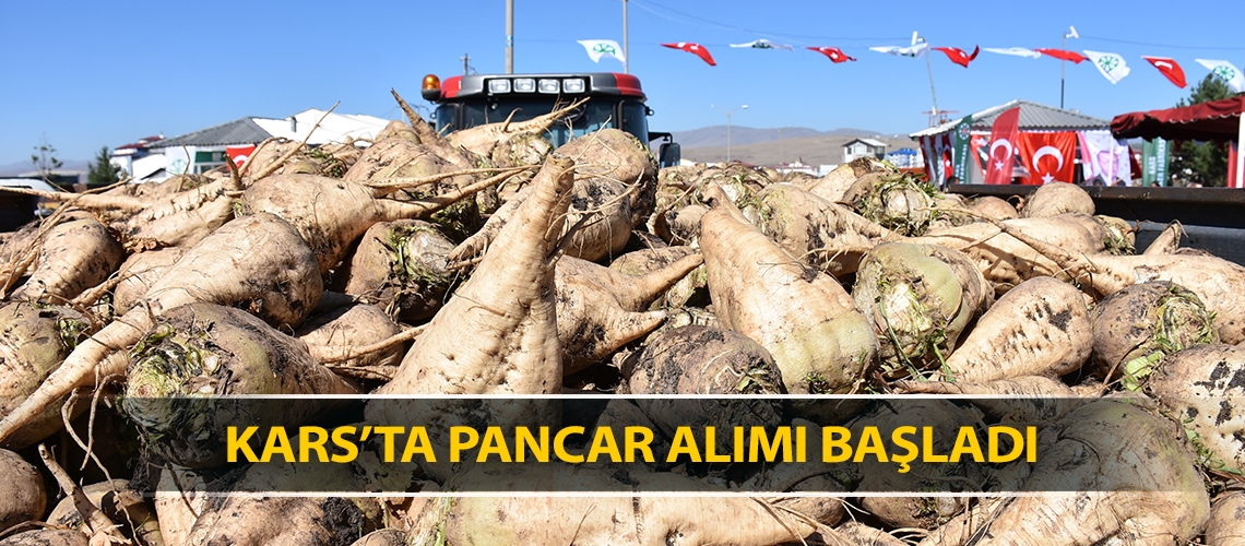 Kars’ta pancar alımı başladı