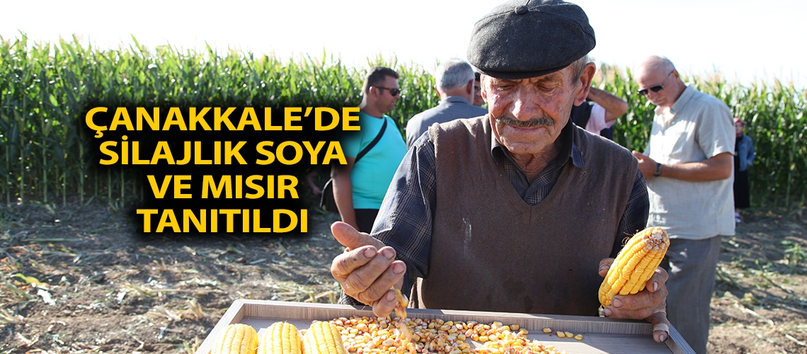Çanakkale’de silajlık soya ve mısır tanıtıldı
