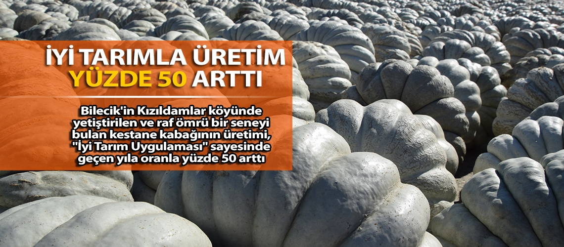 İyi tarımla üretim yüzde 50 arttı
