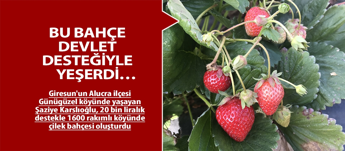 Bu bahçe devlet desteğiyle yeşerdi…