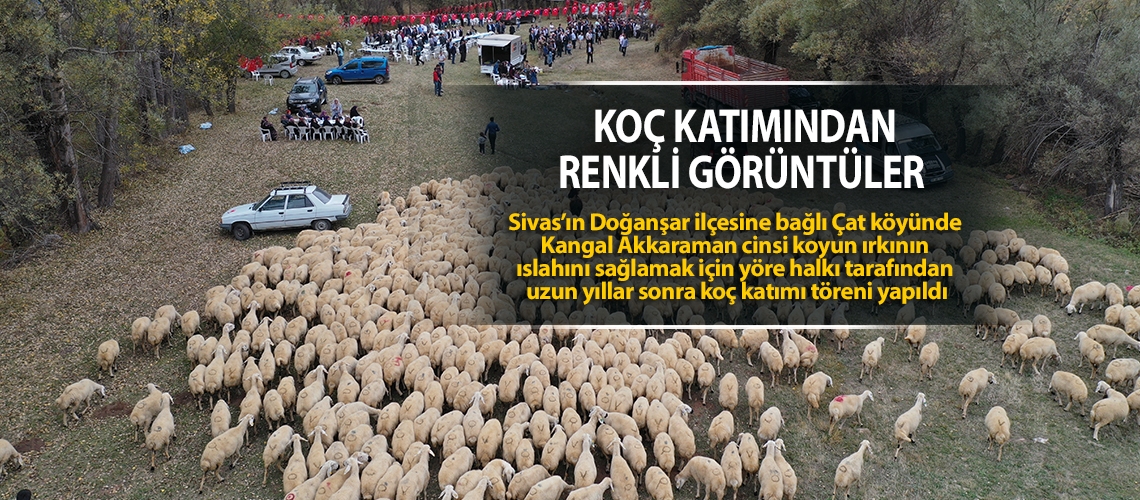 Koç katımından renkli görüntüler