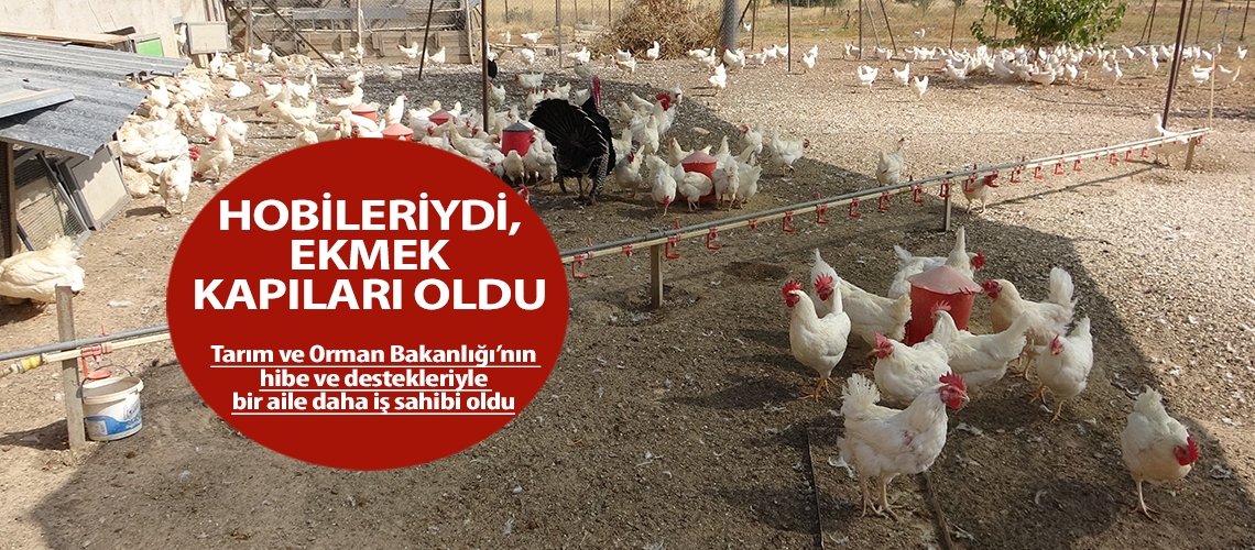 Hobileriydi, ekmek kapıları oldu