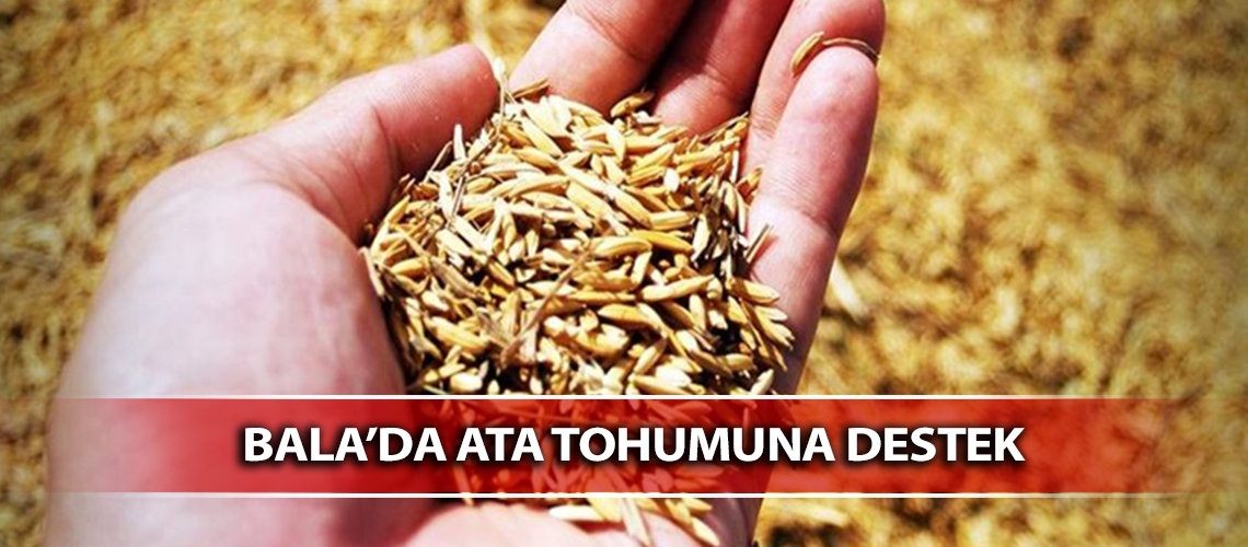 Bala’da ata tohumuna destek