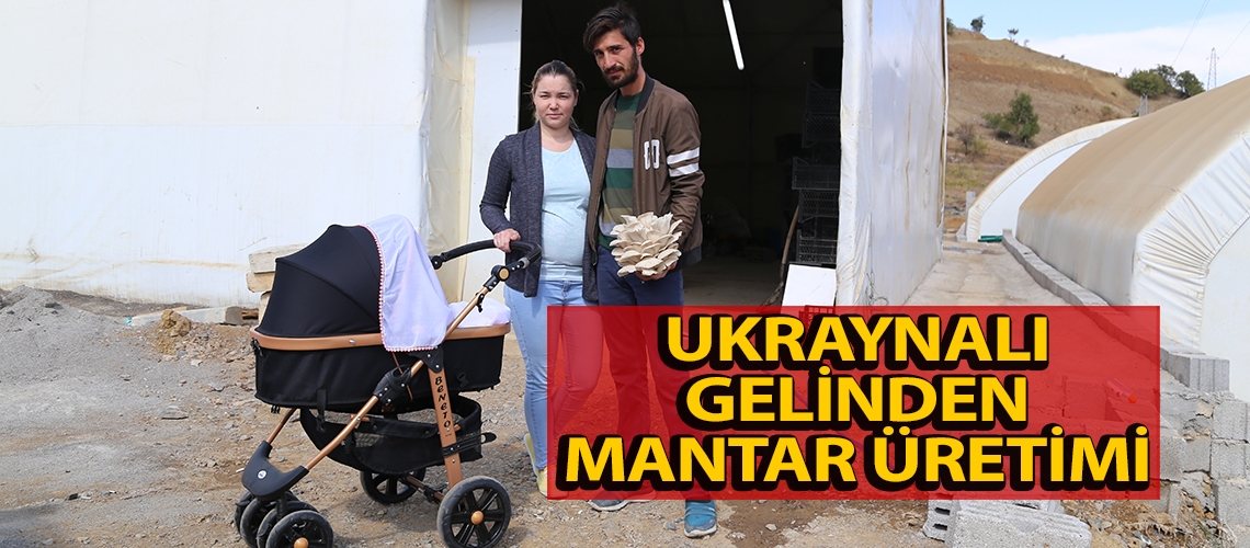 Ukraynalı gelinden mantar üretimi