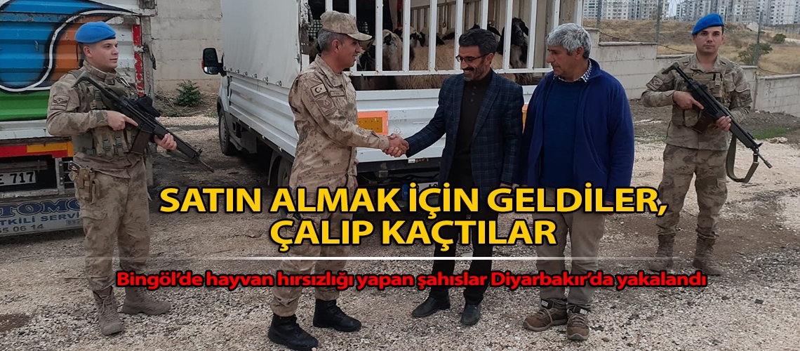 Satın almak için geldiler, çalıp kaçtılar