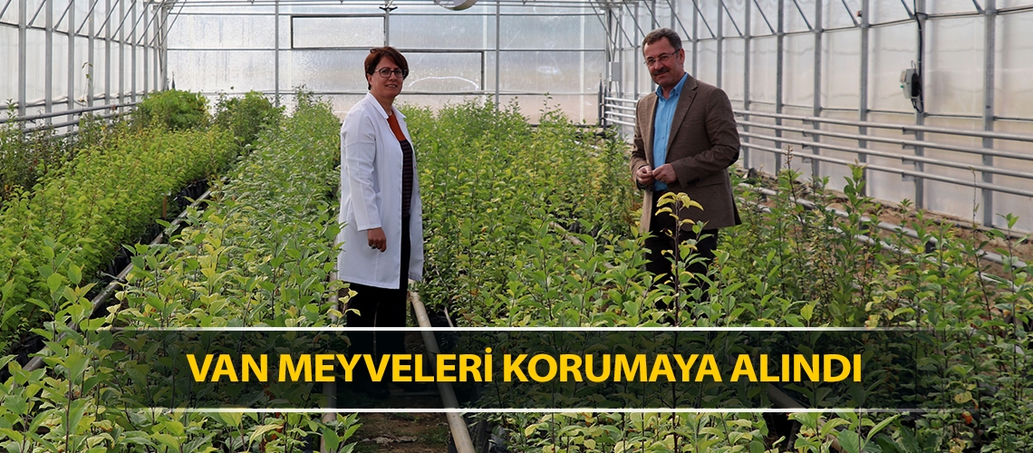 Van meyveleri korumaya alındı