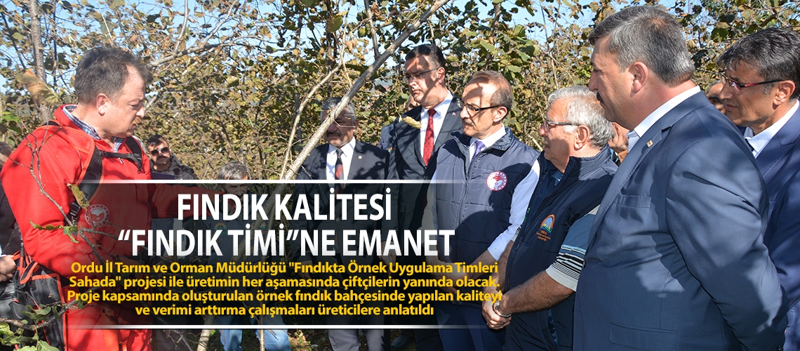 Fındık kalitesi “fındık timi”ne emanet