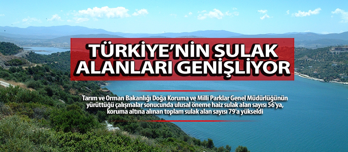 Türkiye’nin sulak alanları genişliyor