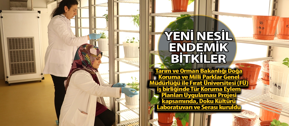 Yeni nesil endemik bitkiler