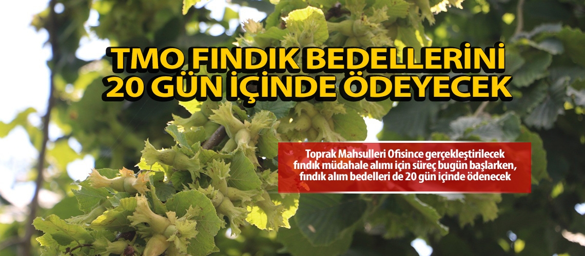 TMO fındık bedellerini 20 gün içinde ödeyecek