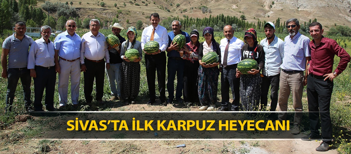 Sivas’ta ilk karpuz heyecanı